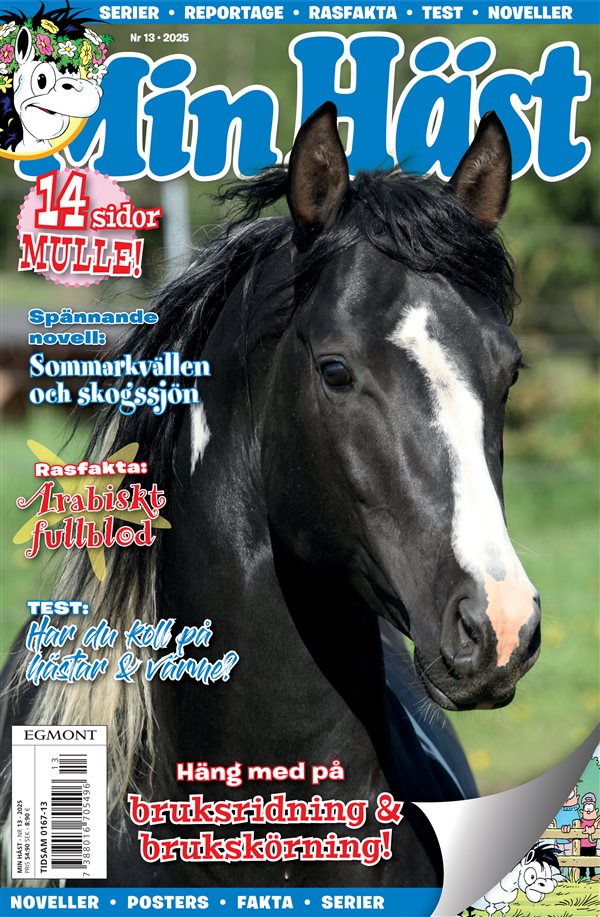 Min Häst