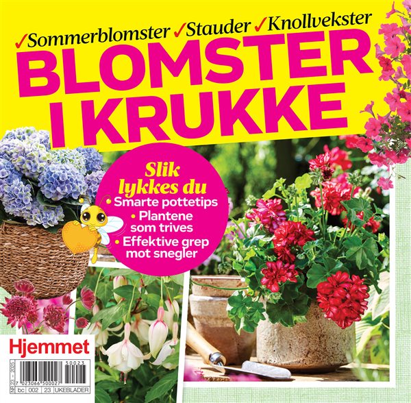 Hjemmet Bilag