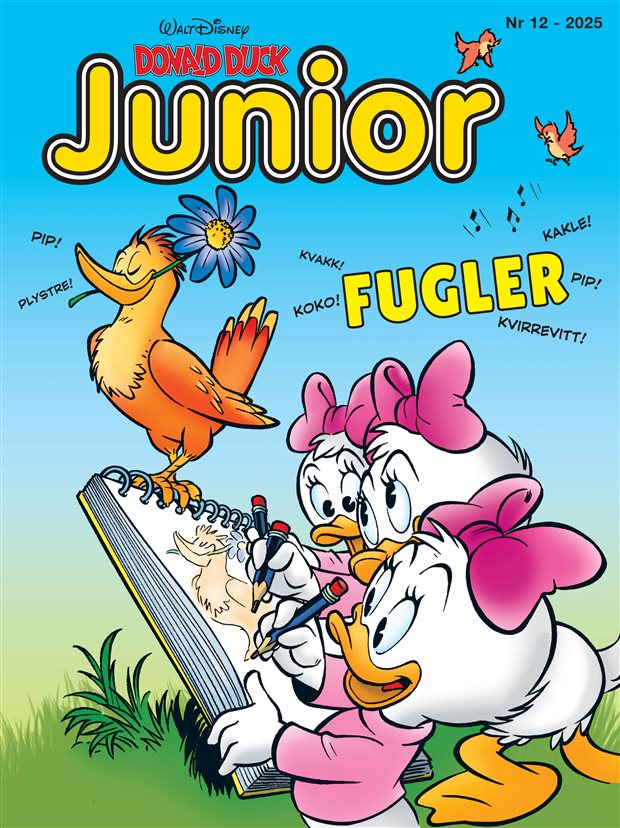 Donald Duck Junior