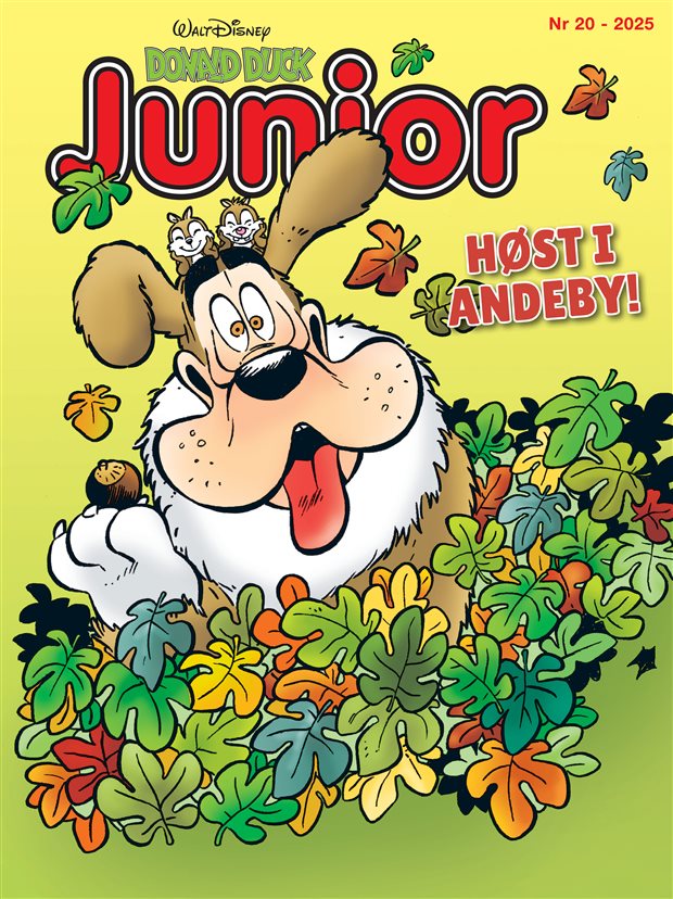 Donald Duck Junior