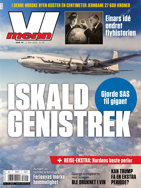 Vi Menn