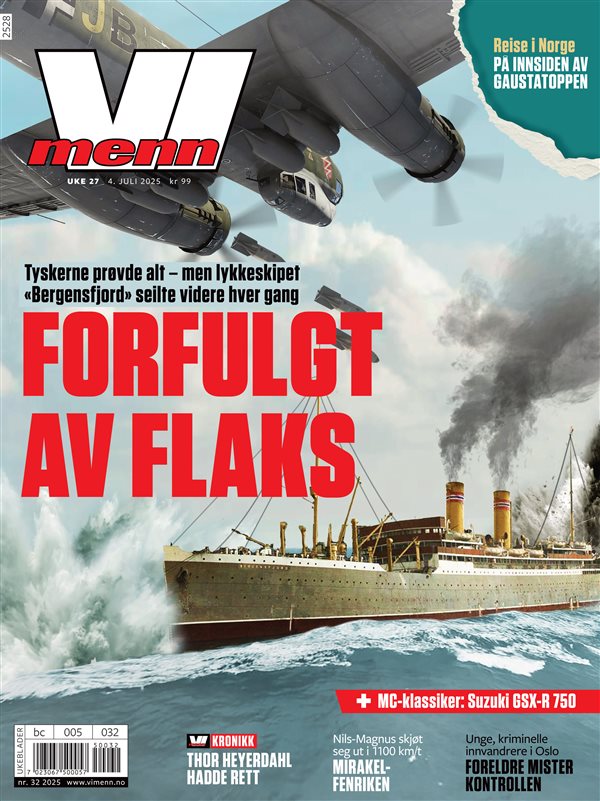 Vi Menn