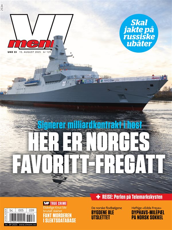 Vi Menn