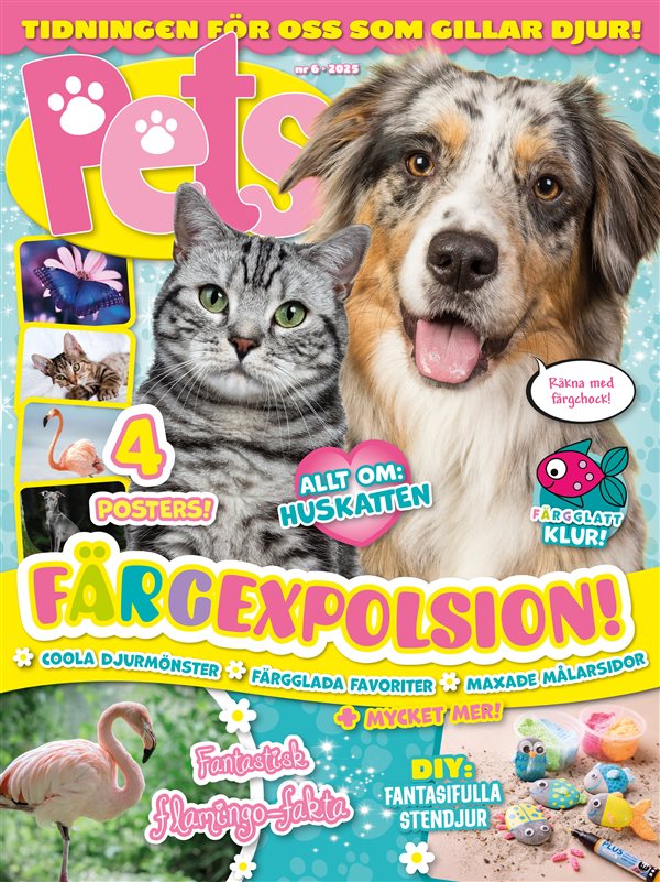 Pets
