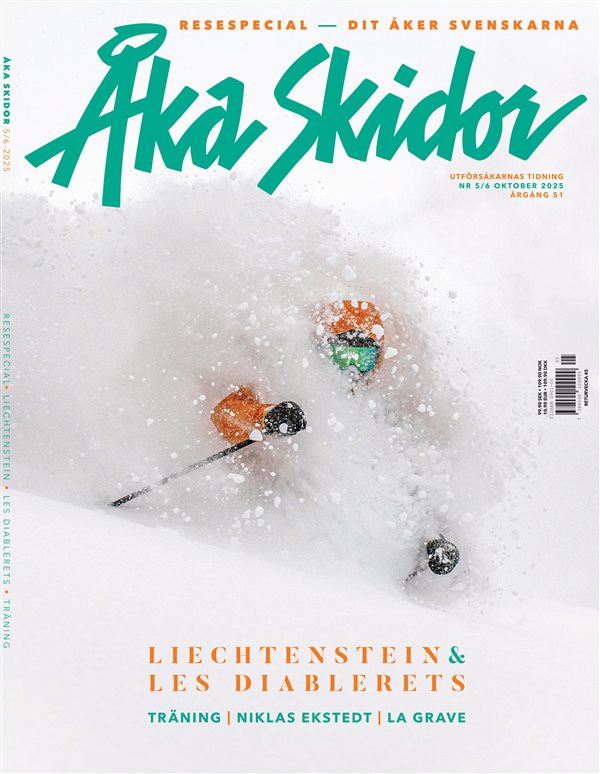 Åka Skidor