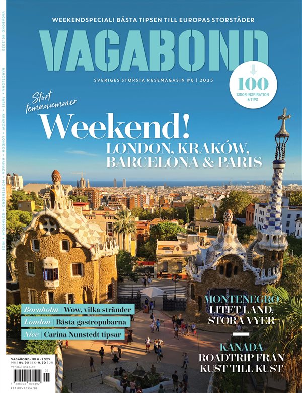 Vagabond